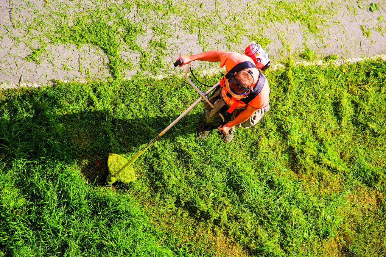 Mantenimiento de áreas verdes